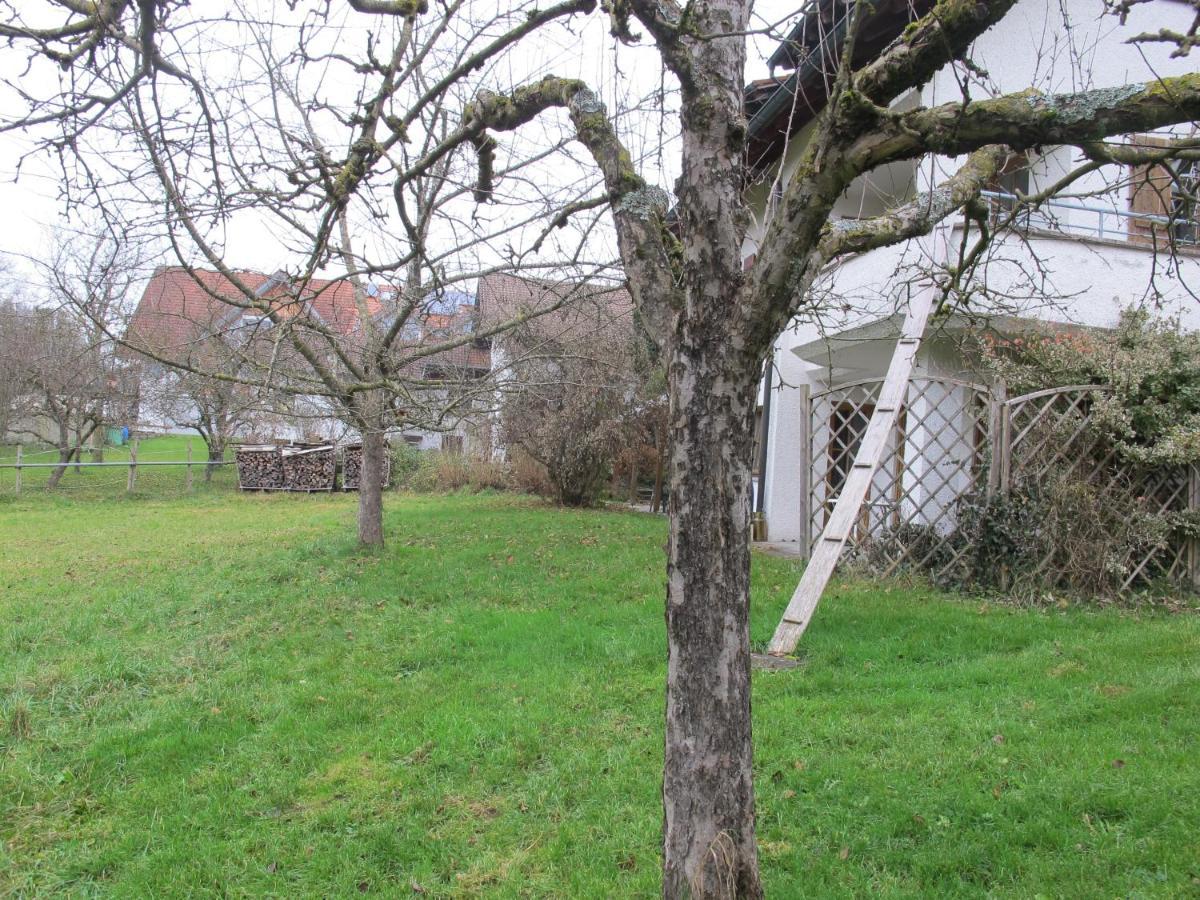 Gasthaus Adler Hotel Wangen im Allgäu Eksteriør billede